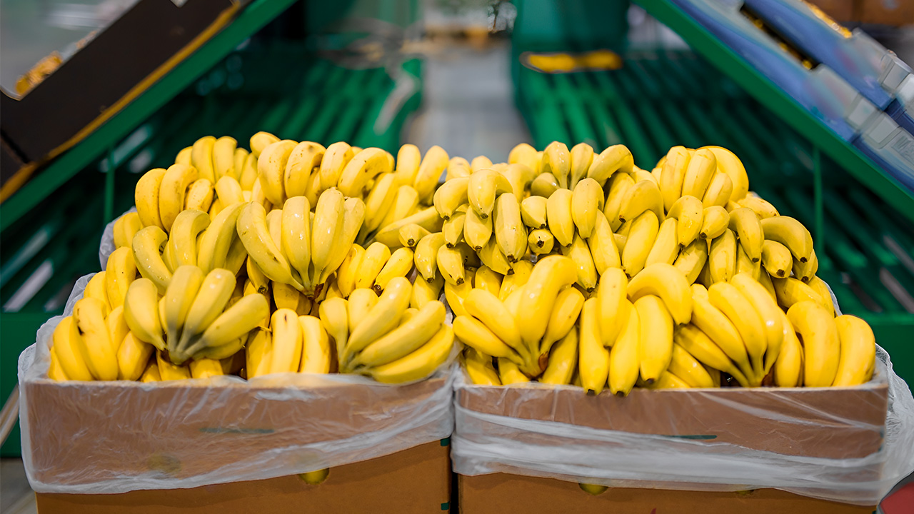 Etileno en la maduración de plátanos: métodos y beneficios