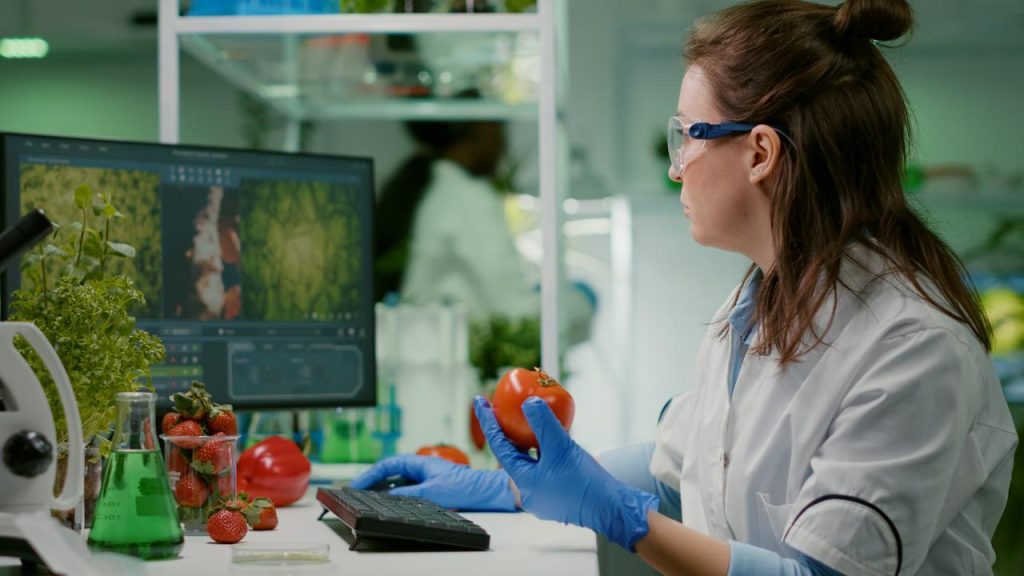 Cómo el CO2 potencia el procesamiento de alimentos